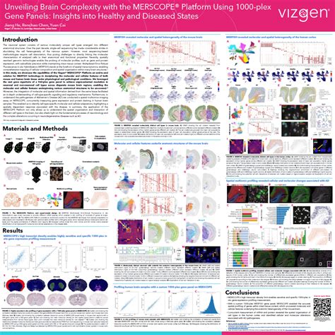 Agbt Poster Unveiling Brain Complexity With The Merscope