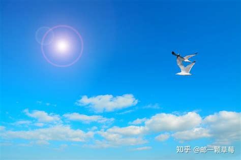 期货大佬傅海棠：低价打死不做空 高价打死不做多 知乎