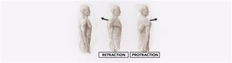 Crossfit Movement About Joints Part 1 The Shoulder