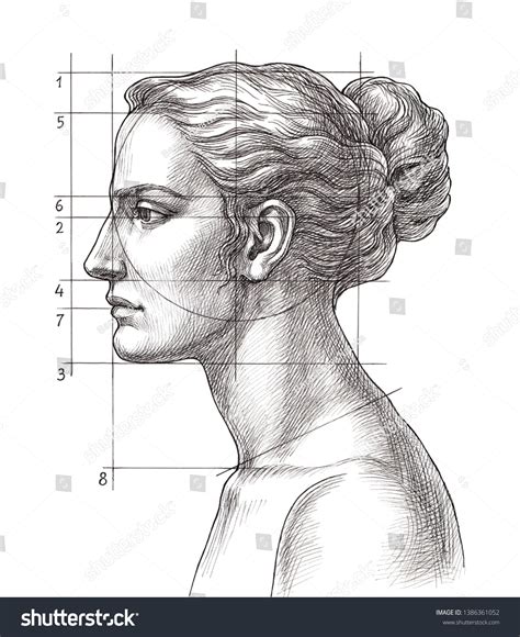 54 Hand drawn face proportion sketch Images, Stock Photos & Vectors ...