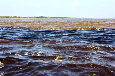 Amazon River & Rio Negro | Where the Two Rivers Meet in Brazil Stock ...