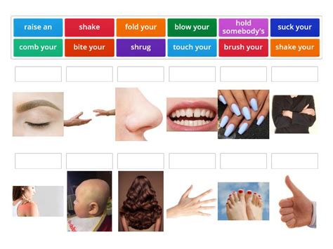 Aef B Unit B Body Parts Collocations Match Up