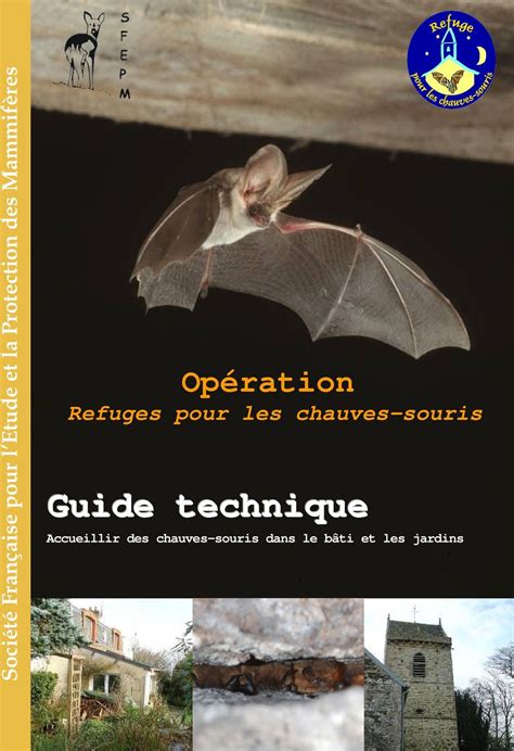 Opération Refuges pour les chauves souris PDF Téléchargement Gratuit