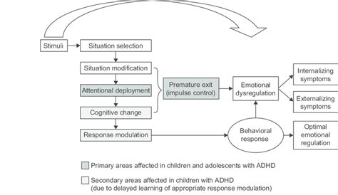 Conceptual Model For Emotional Dysregulation In Children With Adhd