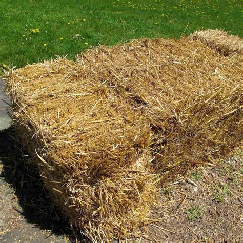 How to Start a Straw Bale Garden