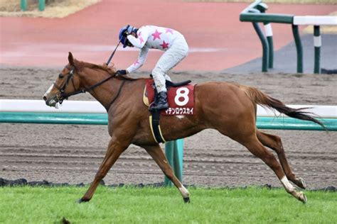 【中山記念】横山典「上手に走ってくれました」マテンロウスカイが重賞初制覇（競馬のおはなし）｜dメニューニュース（nttドコモ）