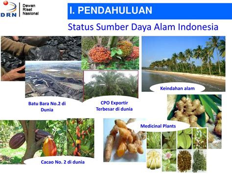 Ppt Status Sumber Daya Alam Indonesia Powerpoint Presentation Free