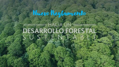 Tenemos NUEVO REGLAMENTO De La Ley De Desarrollo FORESTAL