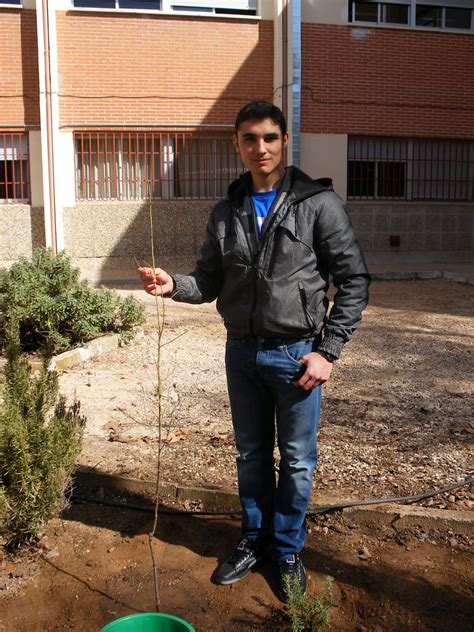 Ecoescuelas I E S Alonso De Ercilla Oca A Plantaci N