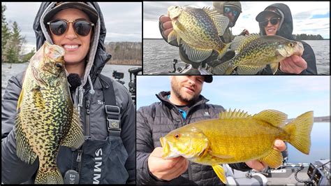 Catching A TON Of Spring Crappies How To Find SPRING Walleyes YouTube