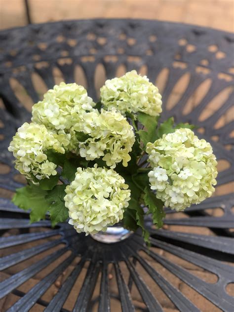 Green Hydrangea Arrangement In Vase Real Touch Hydrangea Flower