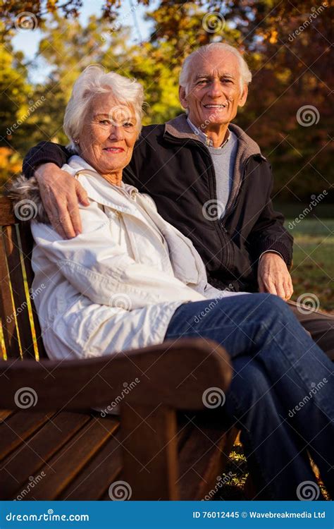 Senior Couple Embracing On A Bench Stock Image Image Of Lawn Fondness 76012445