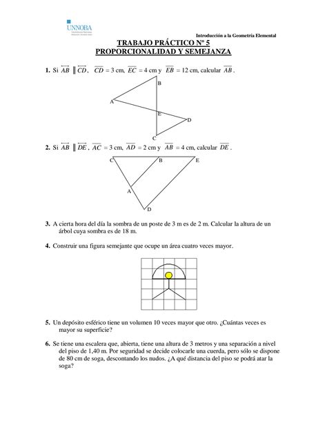 Solution Pr Ctica Proporcionalidad Y Semejanza Studypool