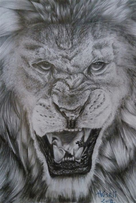 Angry Lion Pencil Drawing