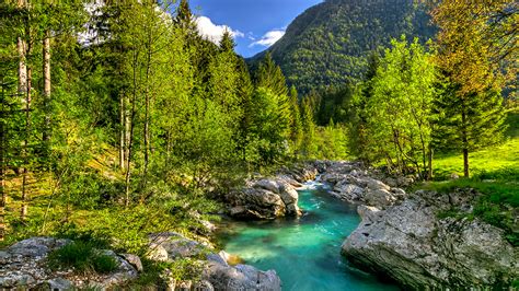 The power of nature on health & wellbeing in Slovenia - We are connections