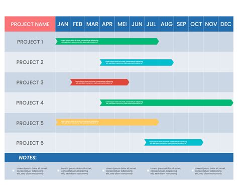 Infographic Timeline Project