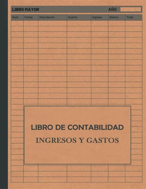 Guía completa sobre el registro de préstamos en la contabilidad Vivir