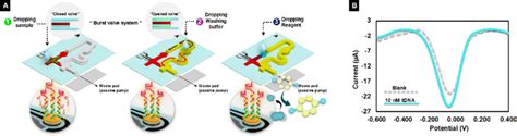 Schematic Overview Of The Sequential Flow Controllable Microfluidic