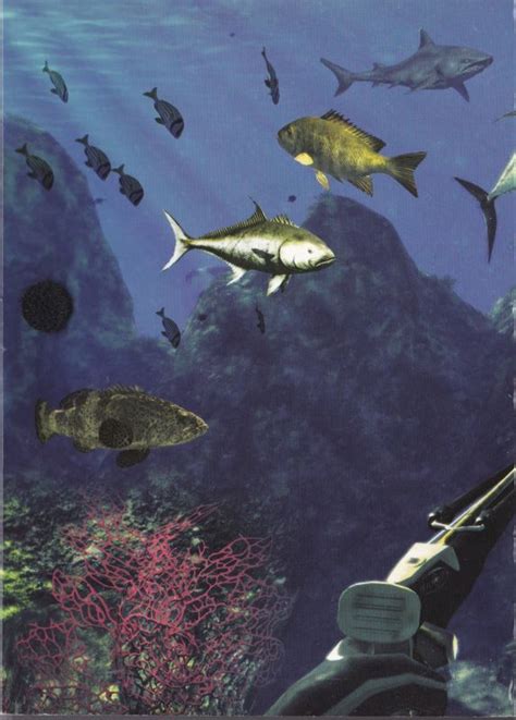 Depth Hunter The Spearfishing Simulator Cover Or Packaging Material