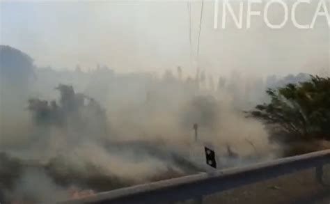 Declarado Un Incendio Forestal En El Paraje El Corchito En Bonares