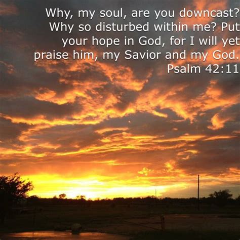 Psalms 4211 Why My Soul Are You Downcast Why So Disturbed Within Me