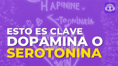 Gu A Definitiva Sobre Dopamina Y Serotonina Con Sesi N Incluida