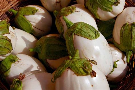 9 Of The Best White Eggplant Varieties Gardeners Path