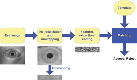 Mechanism Of Iris Recognition Download Scientific Diagram