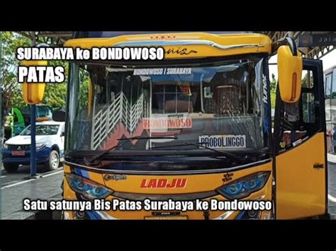 Bus Patas Ladju Surabaya Ke Bondowoso Transportasi Terbaik Dari