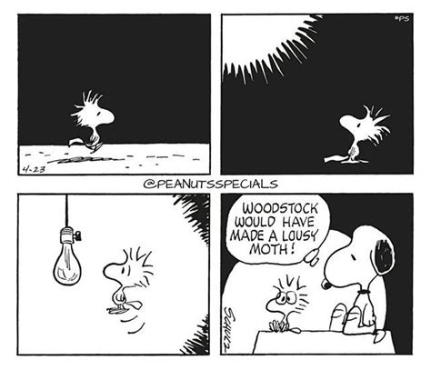 First Appearance April 23 1973 Peanutsspecials Ps Pnts Schulz