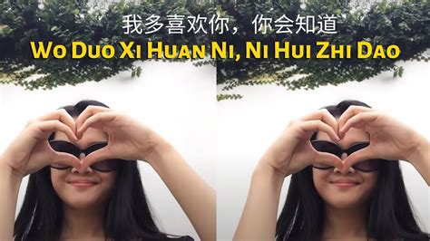 Wo Duo Xi Huan Ni Ni Hui Zhi Dao Sianne Aw Cover W Lirik