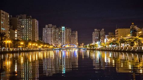 打卡必衝！台南6大夜拍聖地：阿凡達生命之樹、星光鯨魚、風之使者梅花鹿食尚玩家