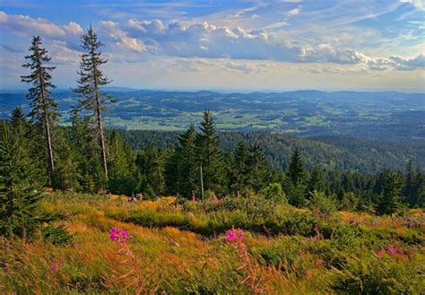 page  bayerisch images    freepik