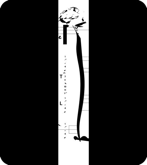 Autonomic nervous system - QSCIS