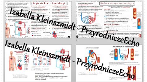 Sketchnotka Notatka Kr Enie Krwi Wykonana W Power Point Do Edycji