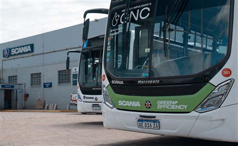 Los Buses Urbanos A GNC De Scania Se Ponen A Prueba En Mar Del Plata