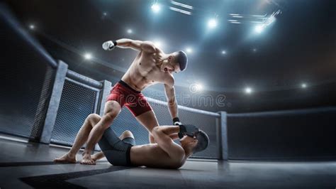 MMA Cage. Ground and Pound. Two Fighters are Fighting in the Octagon. Punches. Sport Concept ...