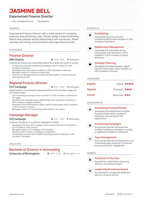 finance director cv examples
