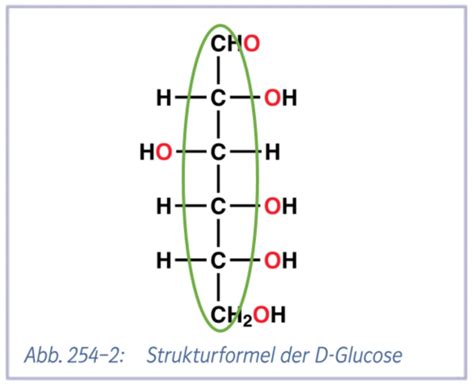 Chemie Organische Molek Le Karteikarten Quizlet