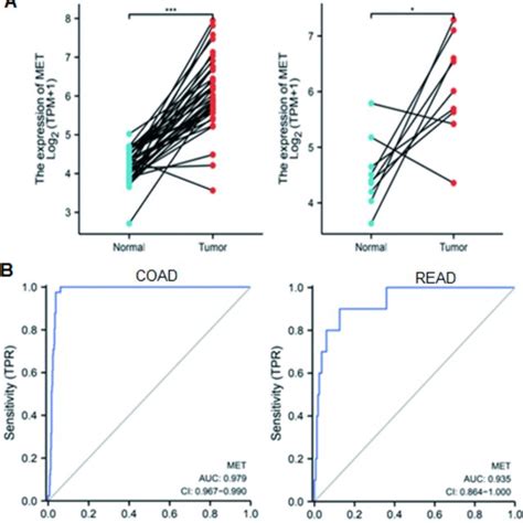 Correlation Between C Met Gene Expression And Receiver Operating