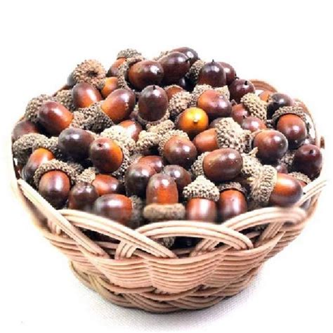 Купить 20pcs искусственные желуди для осеннего дисплея свадьбы ...
