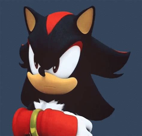 Shadow The Hedgehog, Sonic The Hedgehog, Shadow And Amy, Sonic And ...