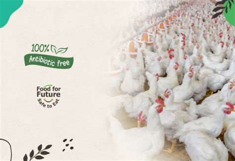 Order Farm Fresh Chicken Online Biosecurity Farms Reines