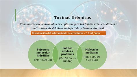 Sindrome Uremico Y Encefalopatia Uremica Pptx Descarga Gratuita