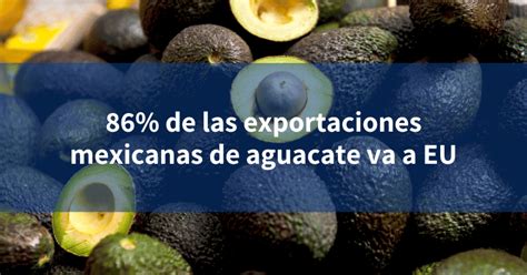 86 De Las Exportaciones Mexicanas De Aguacate Va A EU INCOMEX