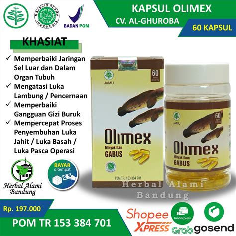 Jual Kapsul Olimex Original Minyak Ikan Gabus Albumin Kutuk Obat Luka