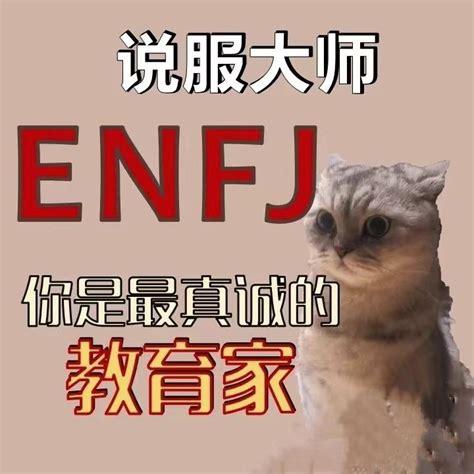 Enfj型人格适合的职业 知乎