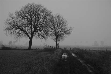 Mist Overlay Photos Download The Best Free Mist Overlay Stock Photos