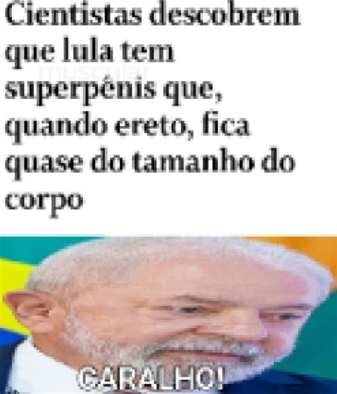 Cientistas descobrem que lula tem superpénis que quando ereto fica