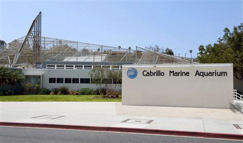 Cabrillo Marine Aquarium, San Pedro, CA - California Beaches